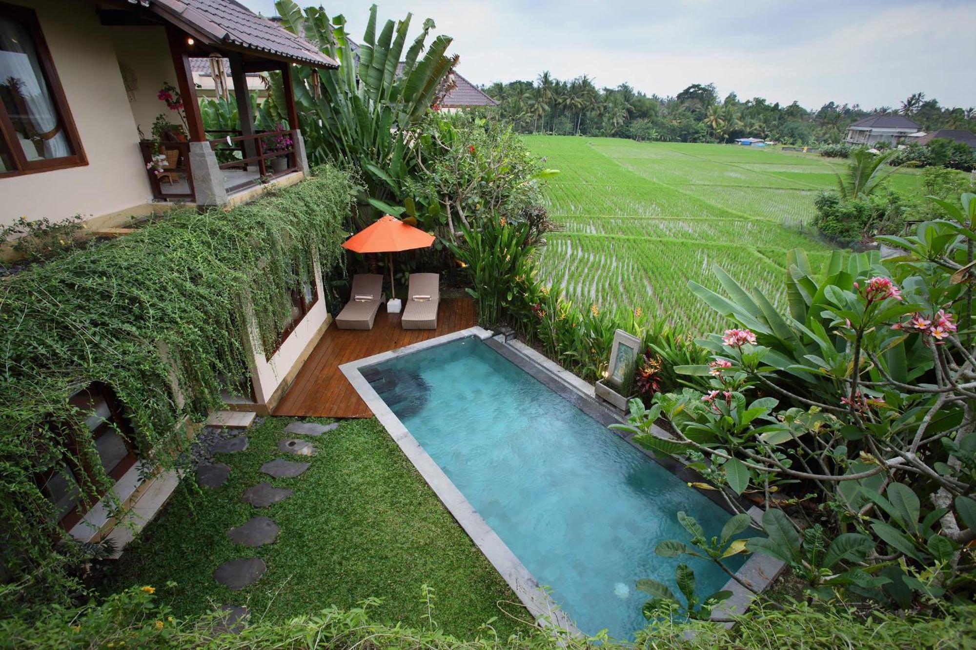 Satori Villas Bali Ubud Rum bild