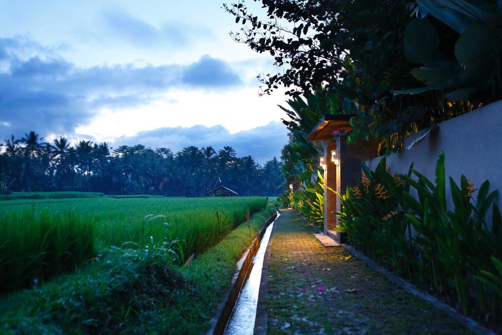 Satori Villas Bali Ubud Exteriör bild